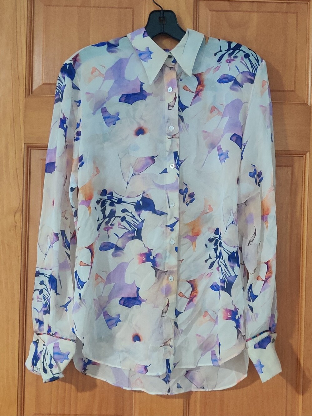 Robert Graham Sheer Floral Watercolor Button-Up Blouse Size M
